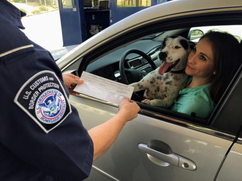 Woman holding her dog in the car and talking to a policeman